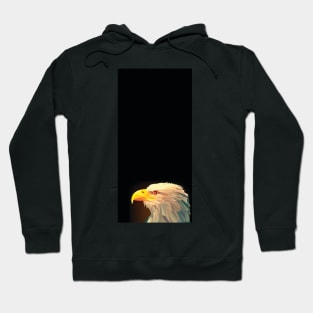 Bald Eagle Abstract Hoodie